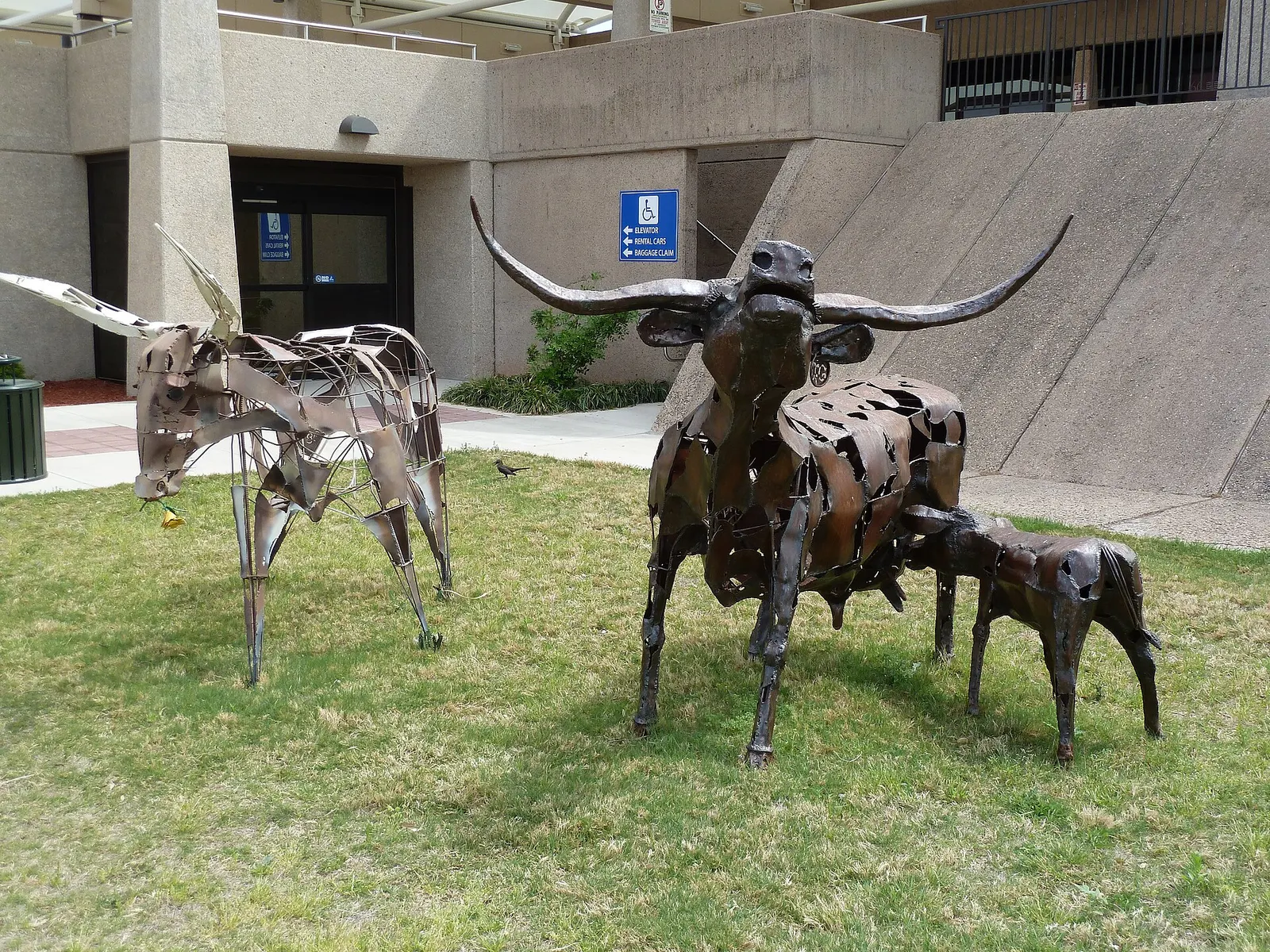 Doug Graves's Born to be Free calf sculpture on the Abilene Regional Airport grounds.