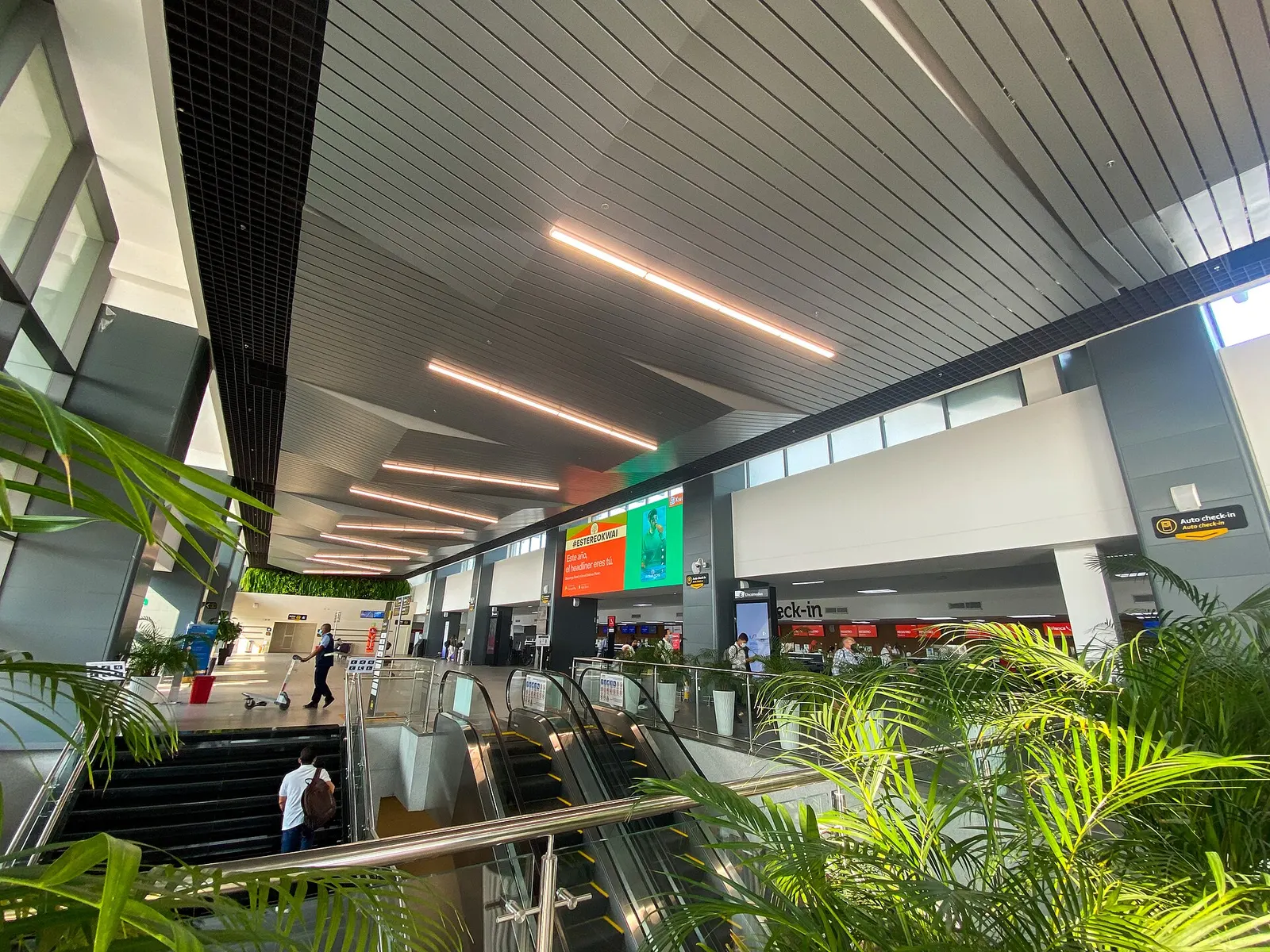 Zona de Check-In del Aeropuerto Ernesto Cortissoz.