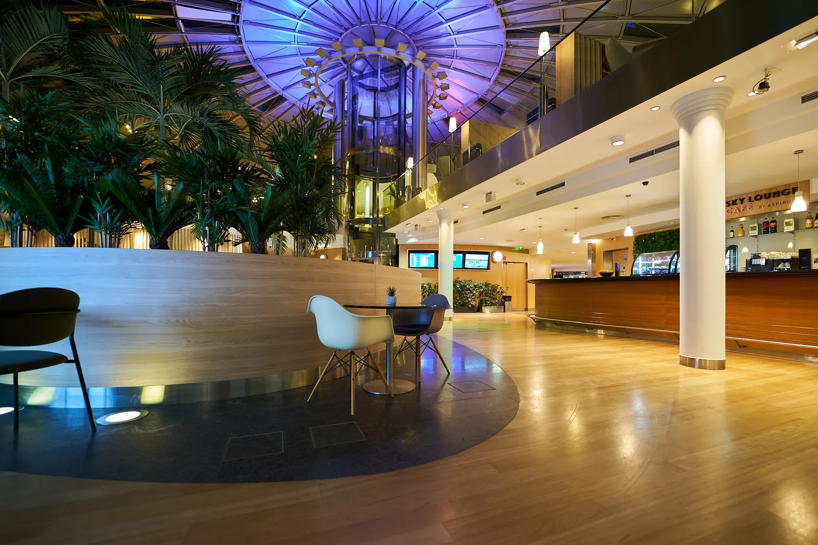 Open seating floor with palm trees and service counter in Sky Cafe by Aspire at EuroAirport Basel-Mulhouse-Freiburg (BSL).