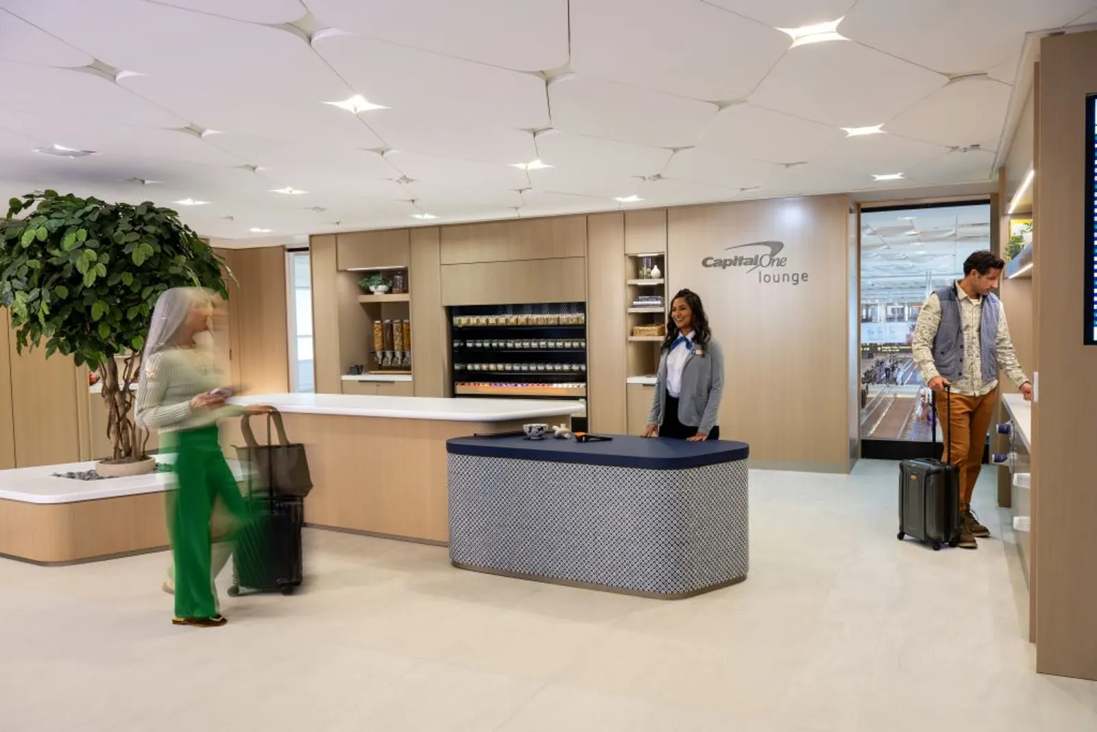 Light-wood reception desk with a grey counter, potted tree and shelving at the entrance of the Capital One Lounge at Denver International Airport (DEN).