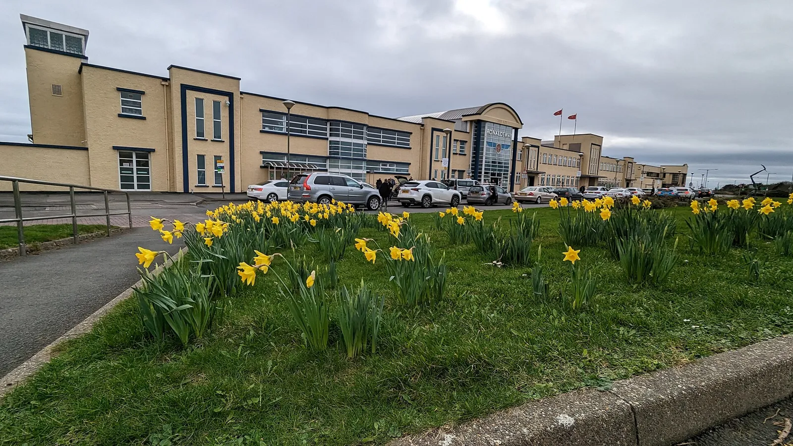Cream art-deco style two-storey terminal building with a curved glass entrance tower, cars parked in front and yellow daffodils on a grass bank in the foreground