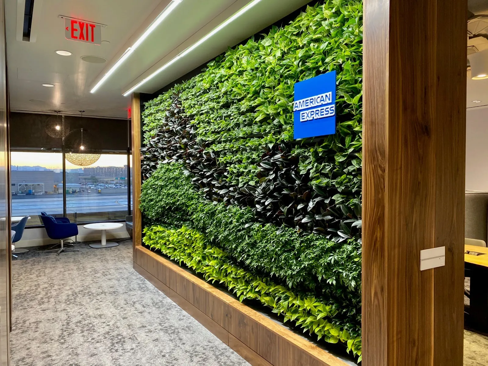 Living green wall with American Express signage beside blue lounge chairs and a window to the tarmac in The Centurion Lounge at Phoenix Sky Harbor (PHX).