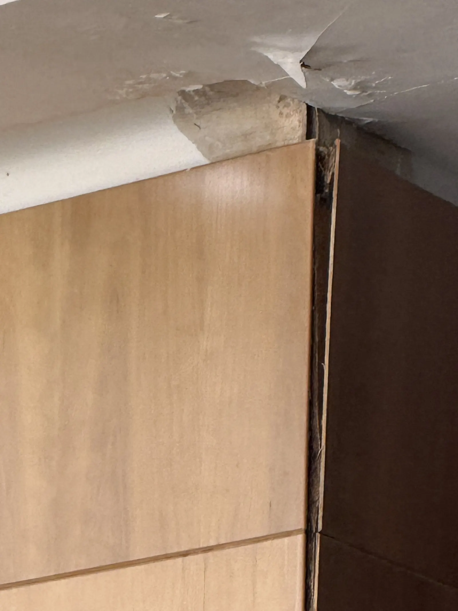 Warped wood-veneer wall panel peeling at a corner under a cracked, flaking white ceiling with a deep gap where panel meets ceiling inside Montaña Roja VIP Lounge at TFS.